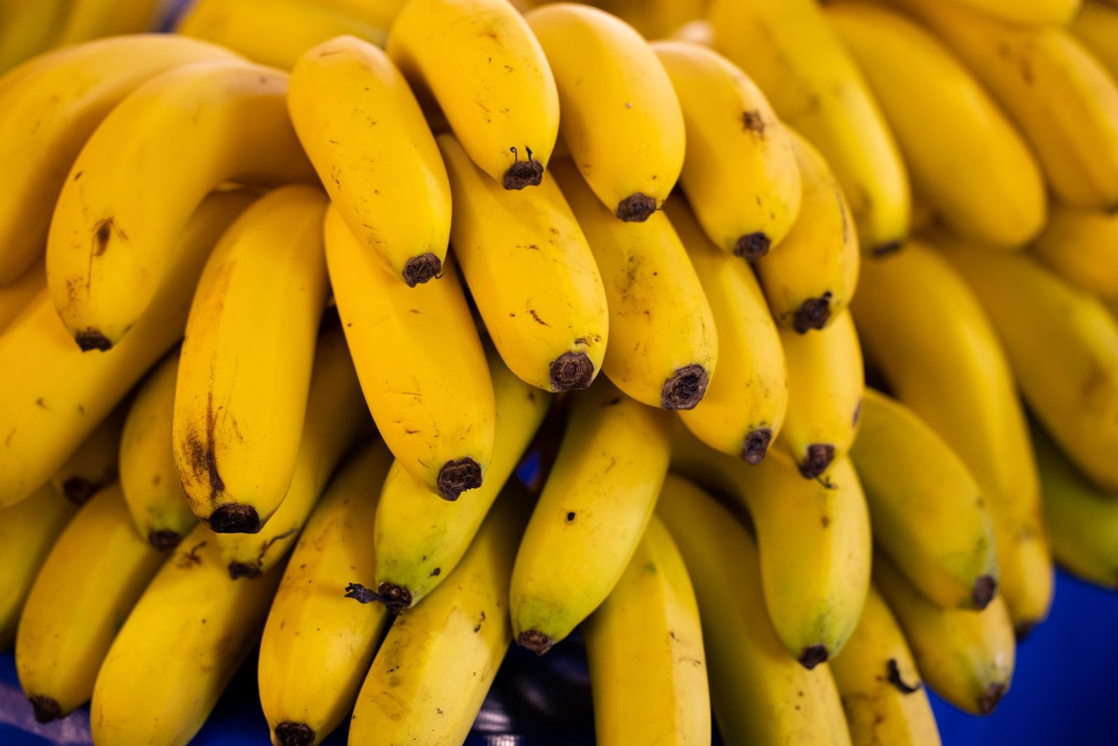 Foto ilustrativa: Nutrição